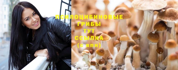 гашиш Арсеньев